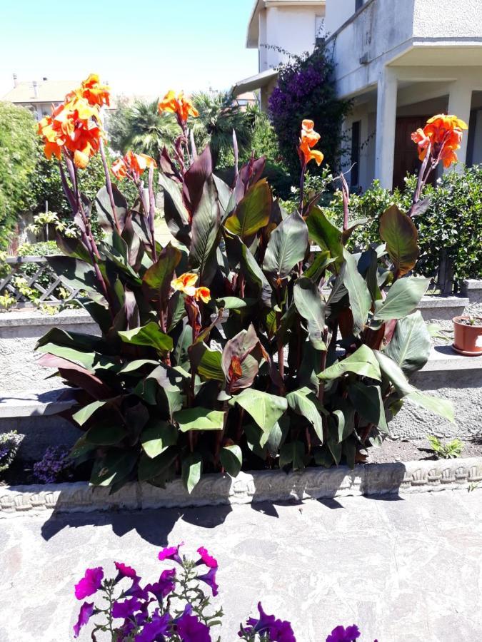 Casa Marina Villa Donoratico Bagian luar foto